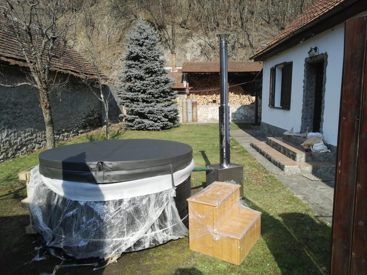 Casa Sasca Montana Villa Dış mekan fotoğraf