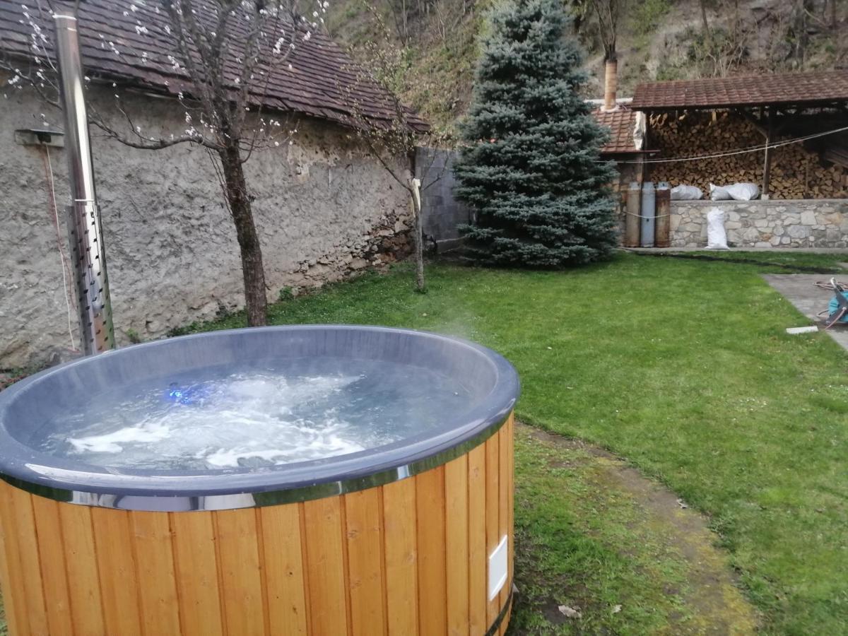 Casa Sasca Montana Villa Dış mekan fotoğraf